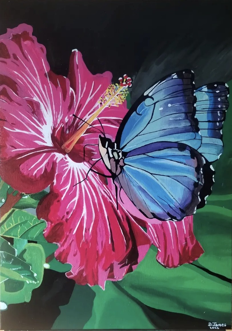 Painting of a red hibiscus with a blue morpho butterfly, signed D. James 2026